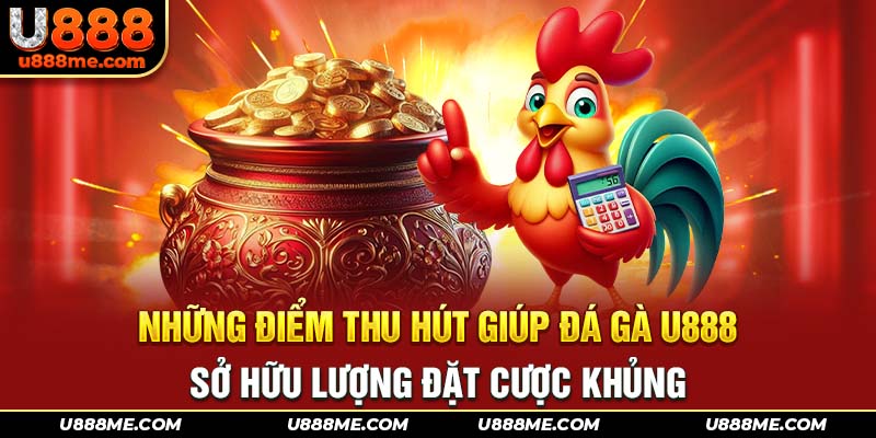 Các trận đấu hấp dẫn được phát liên tục tại danh mục